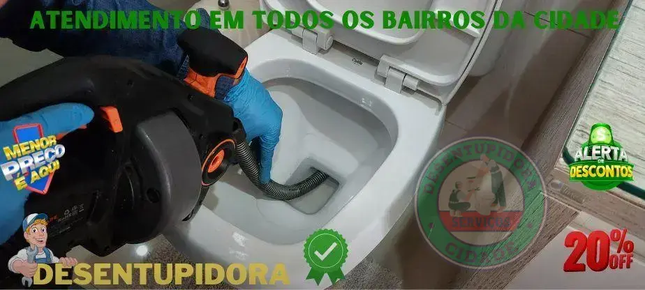Como usar o diabo verde no vaso sanitário?
