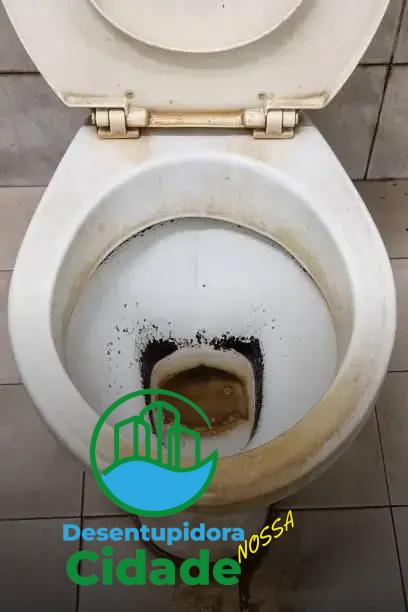 Exemplos de fotos de fossa para inspiração